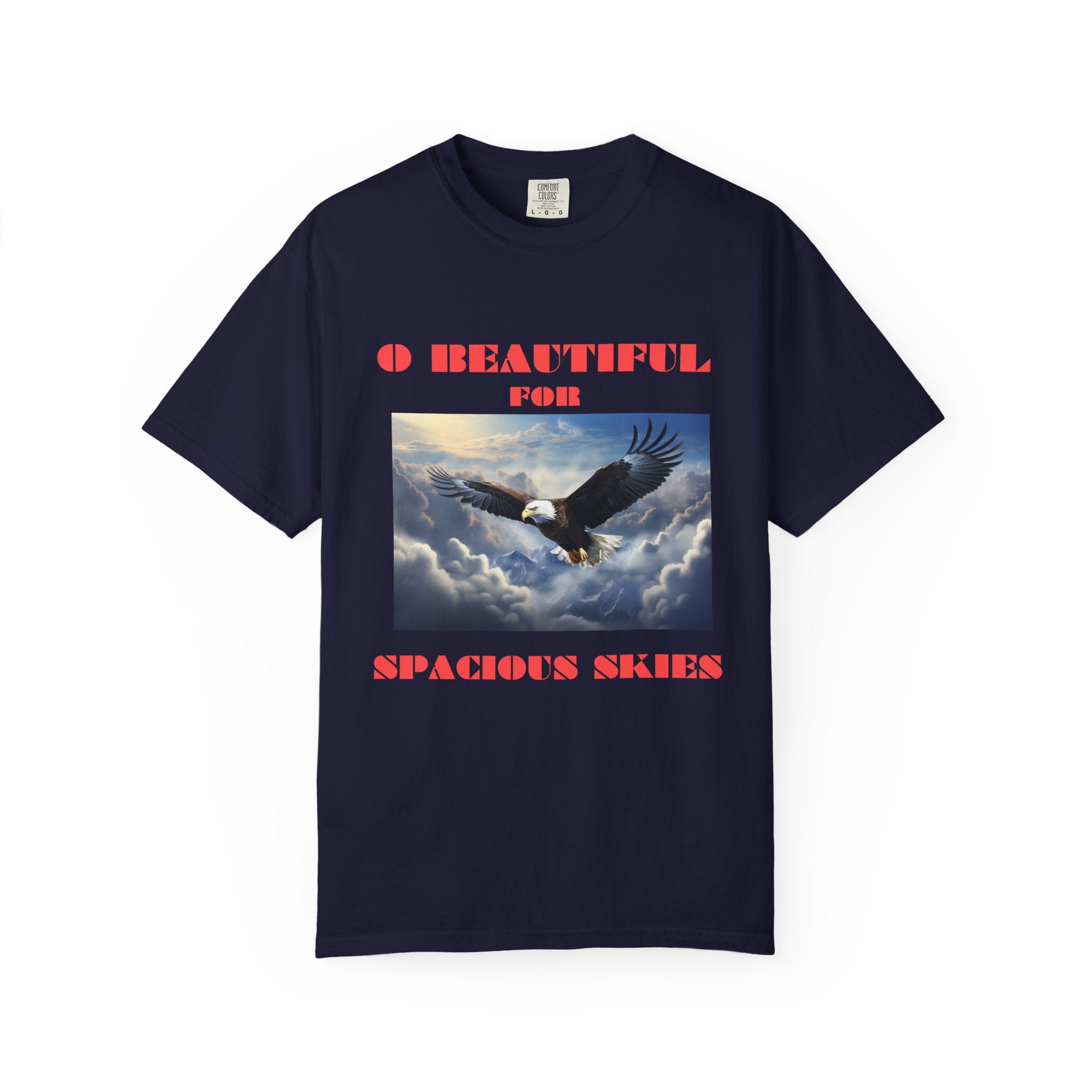 Eagle in Flight T-Shirt - front eagle in flight spacious skies graphic