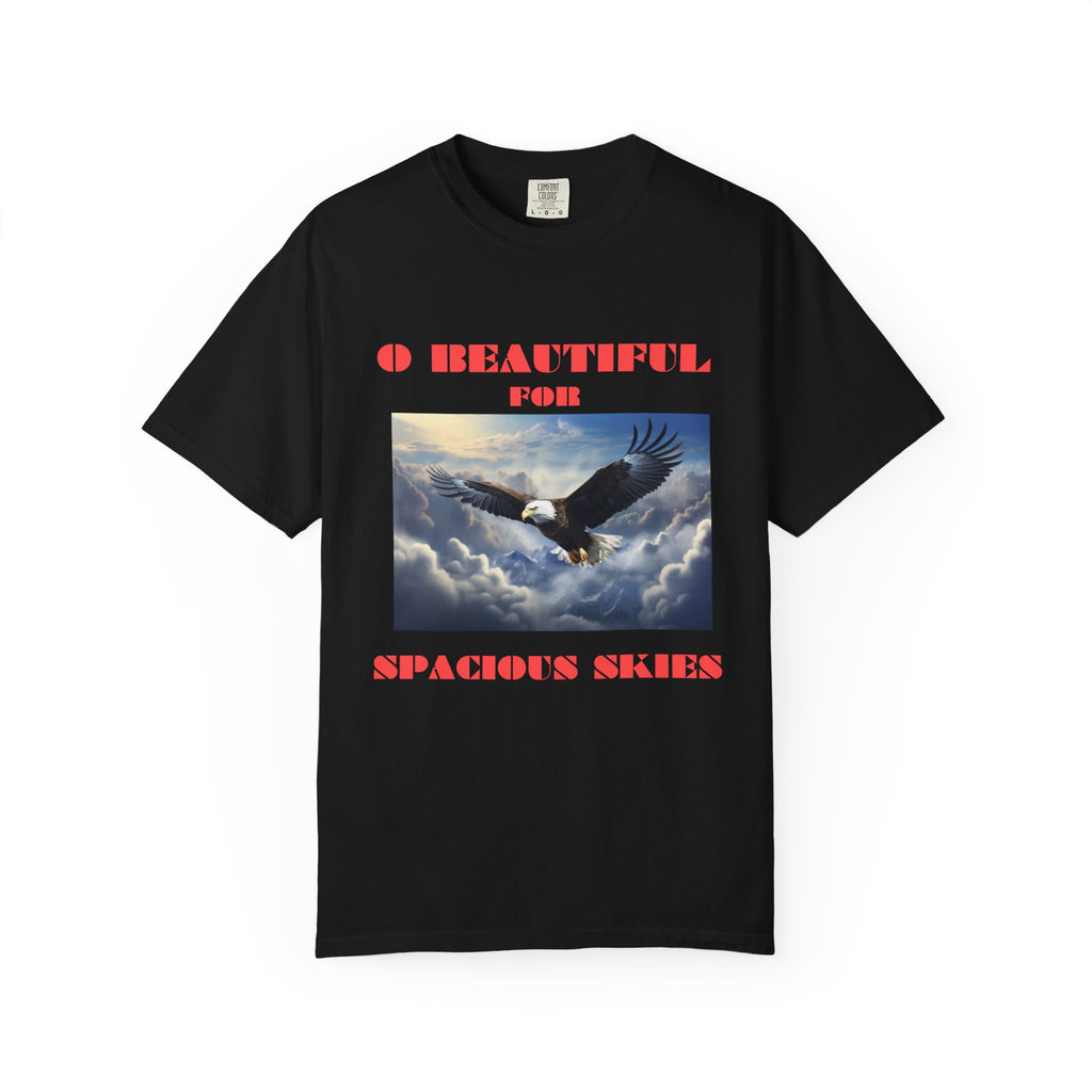 Eagle in Flight T-Shirt - black colorway front view